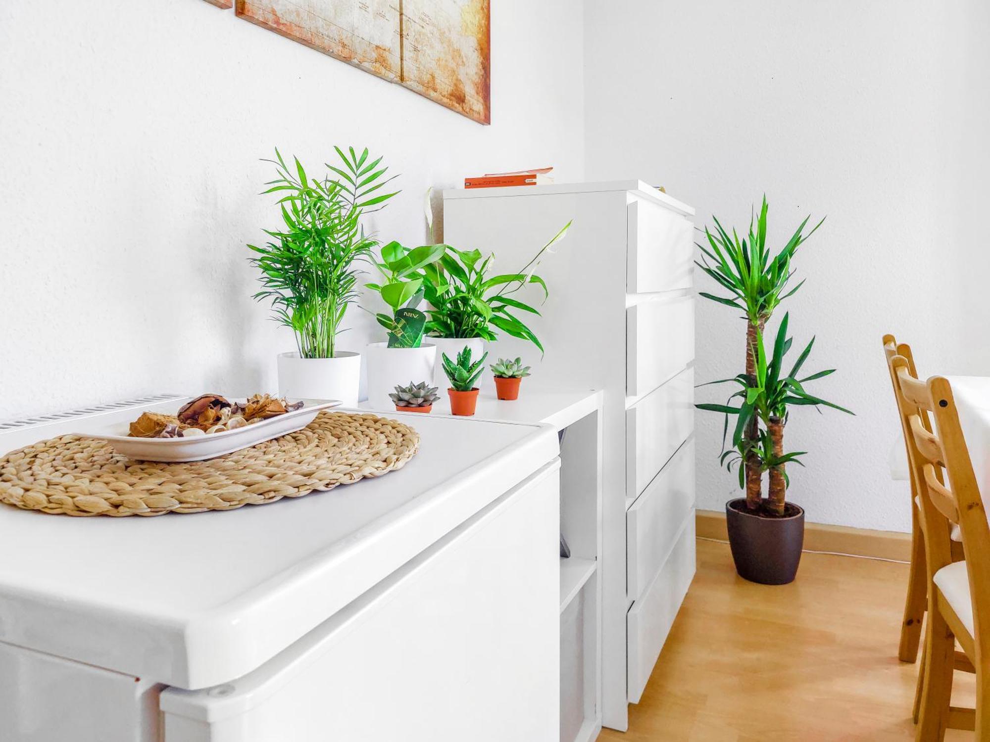 Helle, Ruhige 2 Zi-whg, 2 Baeder, Dd Neustadt, Lage * Dresden